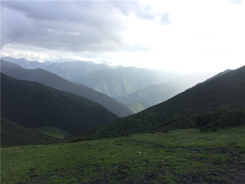 牧場(chǎng)遠眺。.jpg