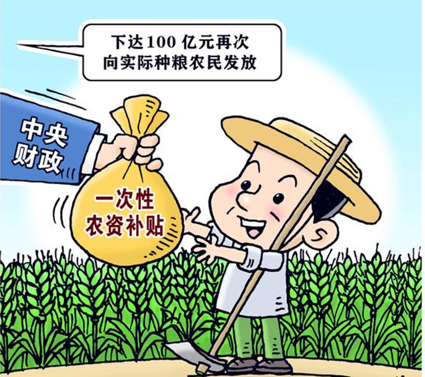中央財政.jpg