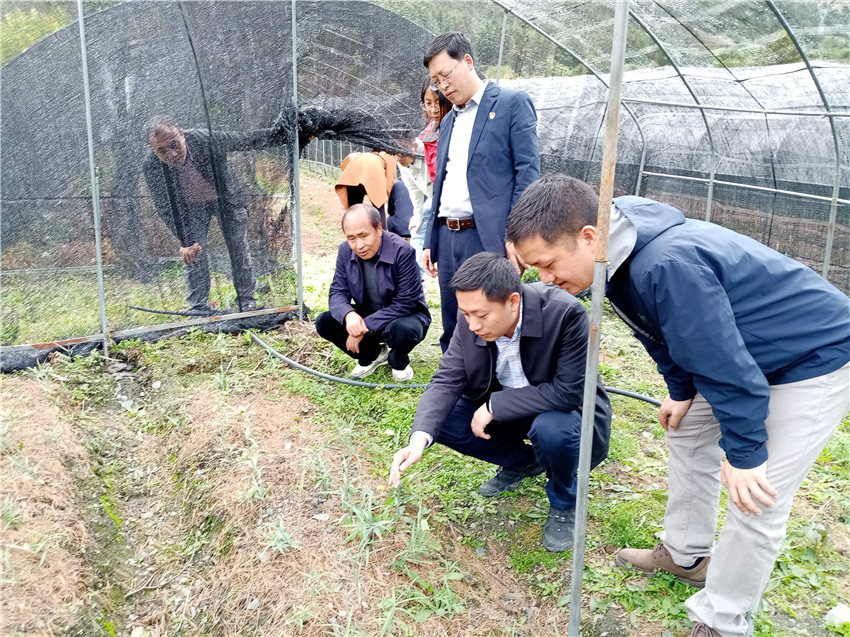 開(kāi)展調研.jpg