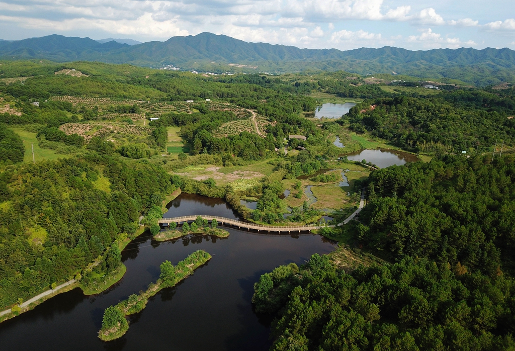 福建省龍巖市長(cháng)汀縣的長(cháng)汀汀江國家濕地公園景色（2020年7月28日攝，無(wú)人機照片）。新華社記者 魏培全 攝