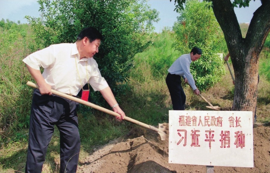 2001年10月，習近平在龍巖市長(cháng)汀縣調研水土流失治理工作，在河田世紀生態(tài)園為樹(shù)培土。圖源：《習近平在福建（下）》