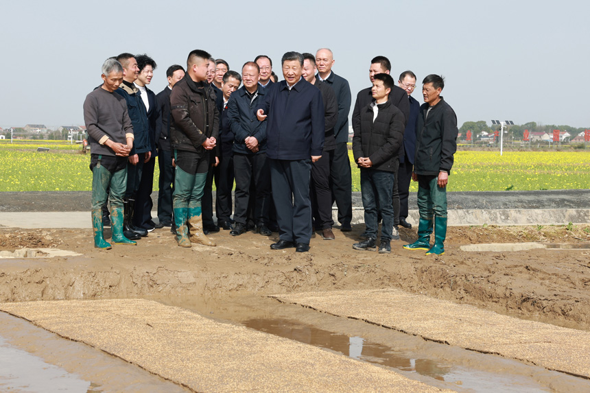 2024年3月18日至21日，中共中央總書(shū)記、國家主席、中央軍委主席習近平在湖南考察。這是19日下午，習近平在常德市鼎城區謝家鋪鎮港中坪村走進(jìn)田間，察看秧苗培育和春耕備耕進(jìn)展。新華社記者 王曄 攝